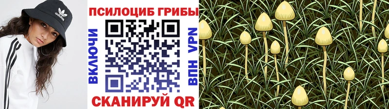 Галлюциногенные грибы Magic Shrooms  Курлово 